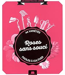 Roses sans souci