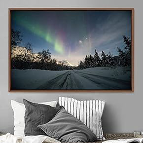 signwin Framed Canvas Wall Art Dayspring Astronomy &...