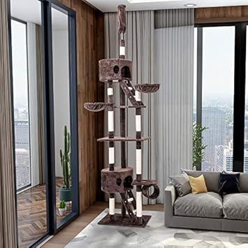 ceiling high cat tree