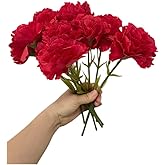 Rikyo 11 Inch Bouquets 10 Stem Red Carnations,Outdoor UV Resistant No Fade Artificial Flower,Mini Carnation Silk Petals Fake Flowers Forever Plants for Photo Props Home Party and Wedding Decor