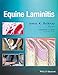 Equine Laminitis