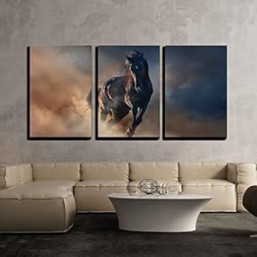 Beautiful Black Stallion Run in Desert Dust Against...