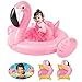 Meland Baby Float - Inflatable Flamingo Float for Kids, Ride-on Baby Pool Float with 2 Swimming Arm Floats for Toddlers Infant Age 6-48 Months, Pink (Flamingo)
