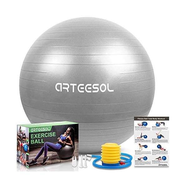arteesol-Exercise-Ball-Gym-Ball-Anti-Burst-Yoga-Ball-45cm55cm65cm75cm-Extra-Thick-Swiss-Ball-with-Pump-for-Fitness-Birthing-Physio-Balance-Pilates Blackace arteesol Exercise Ball, Gym Ball Anti-Burst Yoga Ball, 45cm/55cm/65cm/75cm Extra Thick Swiss Ball with Pump…