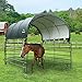 ShelterLogic 10' x 10' Powder Coated Green Corral Shelter Livestock Shade