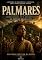 Livro PALMARES: Comunidade, Fé e Resistência no Sertão Brasileiro
