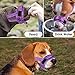 SlowTon Soft Dog Muzzle, Adjustable Padded Nylon Muzzle for Large Medium Dogs Anti Chewing Barking Biting, Allow Dog Pant & Drink (Purple, M)