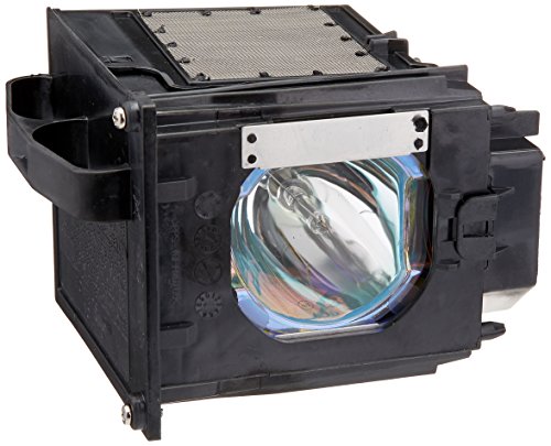 915P049010 - Lamp With Housing