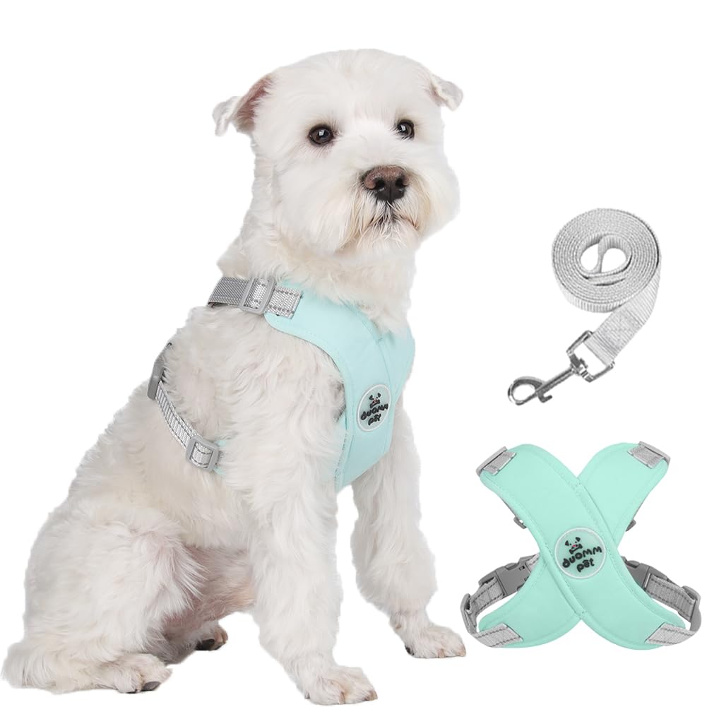 FEimaX No Pull Dog Harness and Lead Set for Small Medium Dogs Adjustable Step-in Pet Vest Harness Reflective Breathable Soft Mesh Padded Puppy Harnesses for Outdoor Walking Training