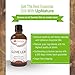 Clove Leaf Essential Oil - Relieve Toothaches & Promote Healthy Gums - Pure, Undiluted, Unfiltered, Non-GMO - Fight Candida - Soothe Tension Headaches - With Dropper (4 oz.) by UpNature