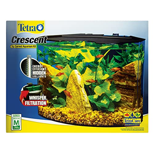 The Best Aquarium Kits Dogtime