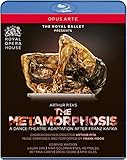 METAMORPHOSIS                                      image