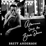 Afternoons with the Blinds Drawn by Brett Anderson, Hachette Audio UK