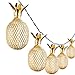 OMIKA Gold Metal Mesh Pineapple Lantern String Lights, 6.5ft 10 LED USB Plug & Battery Powered Novelty Fairy Lights for Bedroom Wedding Birthday Party Pineapple Decor(Warm White)