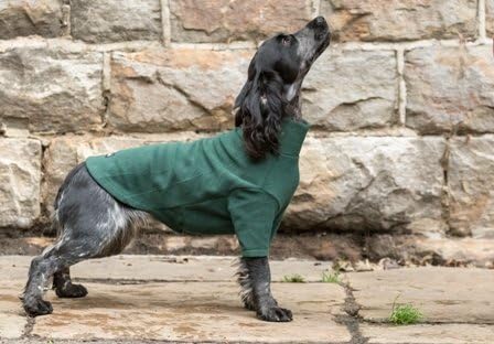 HOTTERdog by Equafleece­® Fleece Dog Jumpers - Sizes XS - XL Colours Grape & Green - Keep Your Dog Warm, Dry, and Comfortable (S, Green)
