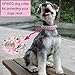 teemerryca Adjustable Leather Spiked Studded Dog Collars with a Squeak Ball Gift for Small Medium Large Pets Like Cats/Pit Bull/Bulldog/Pugs/Husky, Pink, XL 17.7-20.5 inchesthumb 2