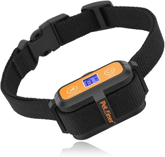 basset hound puppies for adoption near me