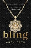Bling: A Story About Ditching the Struggle and Living in Flow by Andy Seth