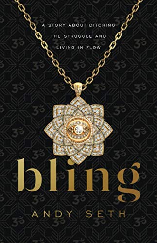Bling: A Story About Ditching the Struggle and Living in Flow by Andy Seth