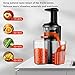 Slow Masticating Juicer with Slow Press Masticating Squeezer Technology for Fruits, Vegetables and Herbs, Slow Juicer with Compact Design and easy to clean, 150 Watt