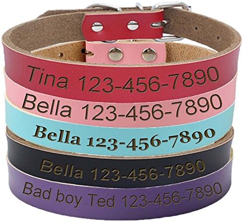 ivisi DEEP Etch Personalized Dog Cat Leather Engraved Collar 4 Sizes Several Colors
