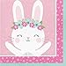 Birthday Bunny Supplies Pack for 16 Guests Including Paper Cups, Paper Dinner Plates, Paper Lunch Napkins, Paper Straws, and Plastic Table Cover (Bundle for 16)