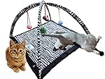 CProduct Activity Center Play Mat with Hanging Mice and Balls Cat Toy
