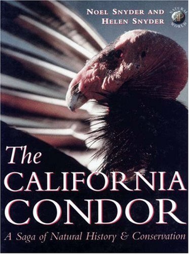 The California Condor:  A Saga of Natural History and Conservation (Academic Press Natural World)