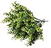 Faux Eucalyptus Pick - 6 Pieces Bundle - 11 Inches for Floral Arrangements, Wedding, Home Décor