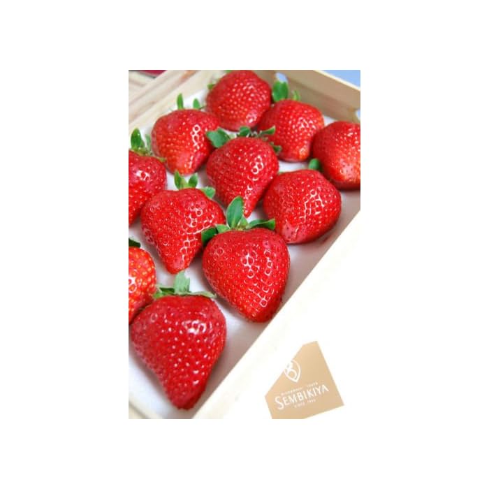 Buy Japanese Sembikiya Queen Strawberries 8 fresh seedsmost beautiful