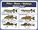 Ident-I-Cards Pike - Bass - Walleye Freshwater Fish Identification Card