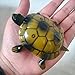 Kids Toy Remote Control Pet Simulation Turtle Halloween Christmas Party Gifts For Kids