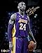 24x30 inch Kobe Bryant Silk Poster BGS9-380