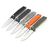 Firebird FB7601 Folding Knife 440C Blade Bearing Axis Lock