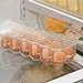 InterDesign Covered Egg Holder - Refrigerator Storage Container, 12 Egg Tray, Long, Clear