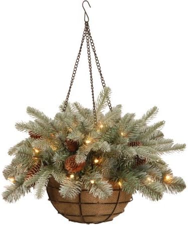 National Tree 20" "Feel Real" Frosted Arctic Spruce Hanging Basket with Cones and 35 Warm White Battery Operated LED Lights with Timer