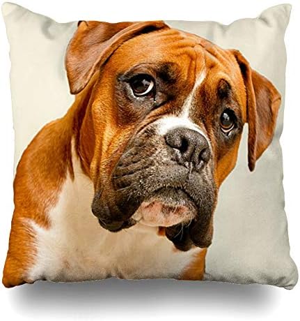 InnoDIY Throw Pillow Covers Boxer Puppy Animal Pattern Pillowslip Square Size 18 x 18 Inches Cushion Cases Pillowcases