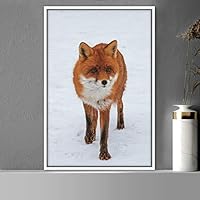 Framed Canvas Wall Art Red Fox Animals Contemporary Expressive Fox Living Room Multicolor Photography - 16x24 inches