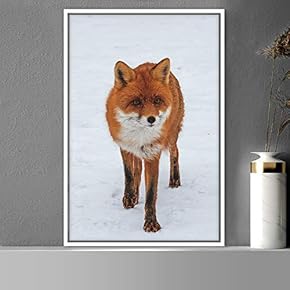 signwin Framed Canvas Wall Art Red Fox Animals...