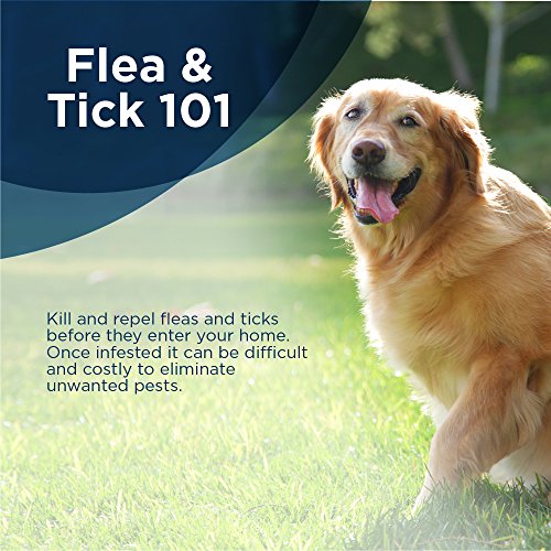 Bayer Seresto Flea And Tick Collar For Large Dogs Over 18lbs 8kg, Lasts 8 Months 724089579447 eBay