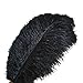 Sowder 10pcs Ostrich Feathers 12-14inch(30-35cm) for Home Wedding Decoration(Black) primary