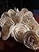 Sola Flowers 2.5in. Roses (15 Flowers)
