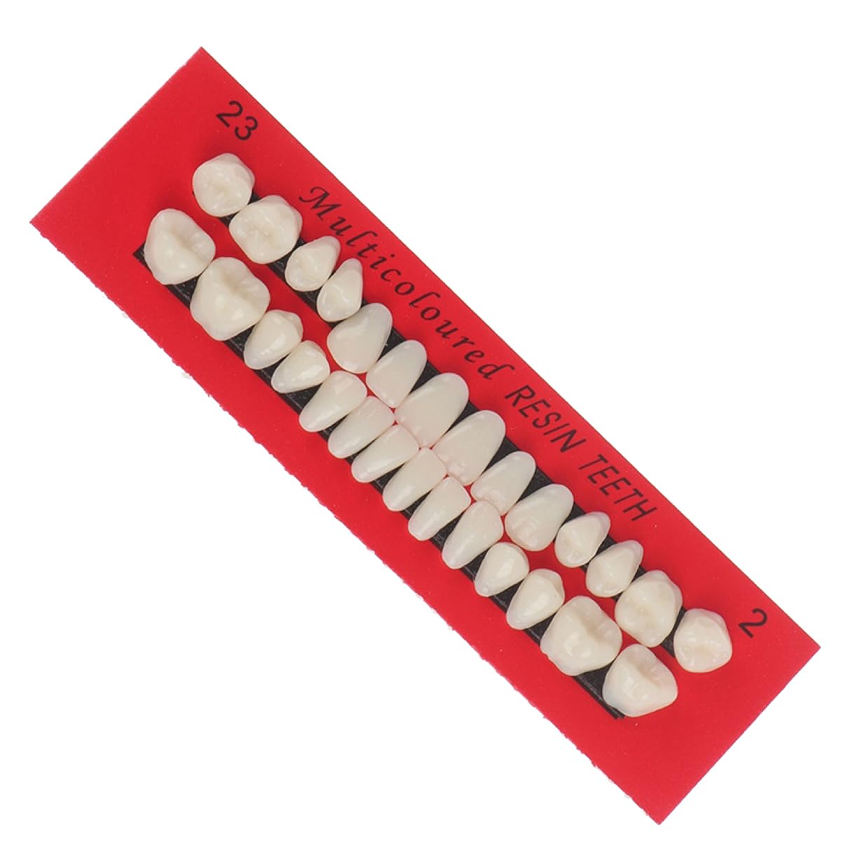 CENPEK 4 PCS Acrylic Resin Fake Teeth Dental Denture False Teeth Halloween Horror Teeth Synthetic for DIY Cosplay Costume Party Ornament