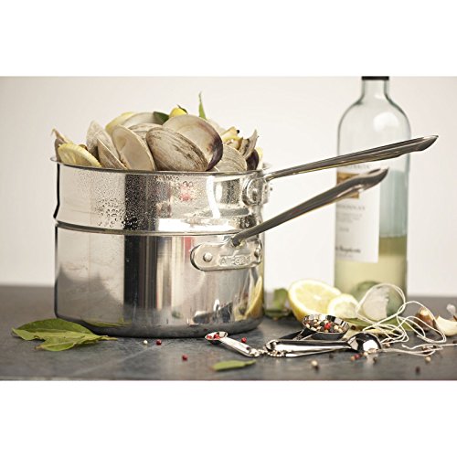 AllClad TriPly Stainless Steel 2qt. Sauce Pan with Porcelain Double Boiler The Home Kitchen