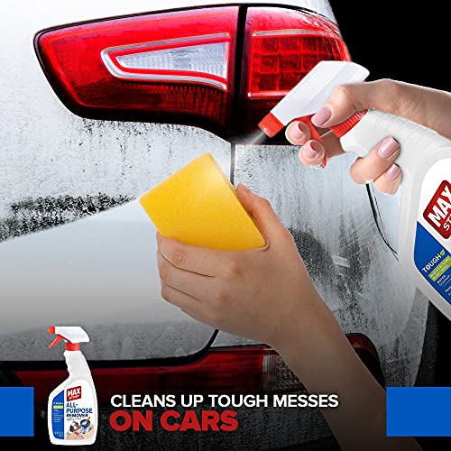 Max Strip All Purpose Remover 22 oz Removes Paint Spills, Over Spray, Graffiti, Markers, Gum