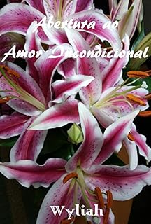 Livro Abertura ao Amor Incondicional: Livro 4