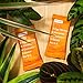 RXBAR, Mango Pineapple, Protein Bar, 1.83 Ounce (Pack of 12) Breakfast Bar, High Protein Snack
