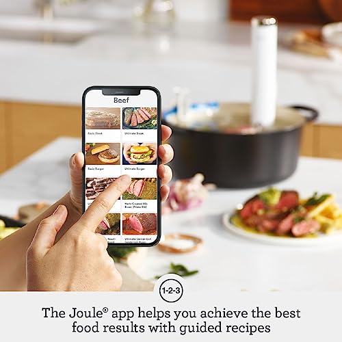 Breville the Joule Turbo Sous Vide Machine, Sous Vide Cooker, Immersion