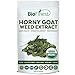 Biofinest Horny Goat Weed Extract Powder - for Men and Women - Epimedium Extract - Organic Pure Gluten-Free Non-GMO Kosher Vegan Friendly - Supplement for Healthy Bone, Energy, Performance (250g)