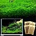 Agua decor Aquarium Grass Seed Small Cow 2 Pack Most Beautiful Grassthumb 4